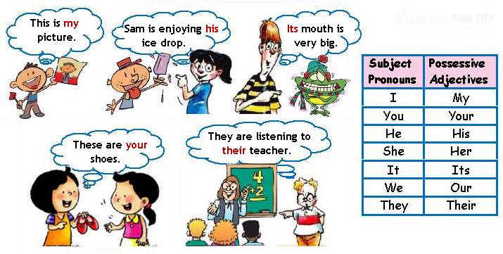 Tính từ sở hữu trong tiếng Anh