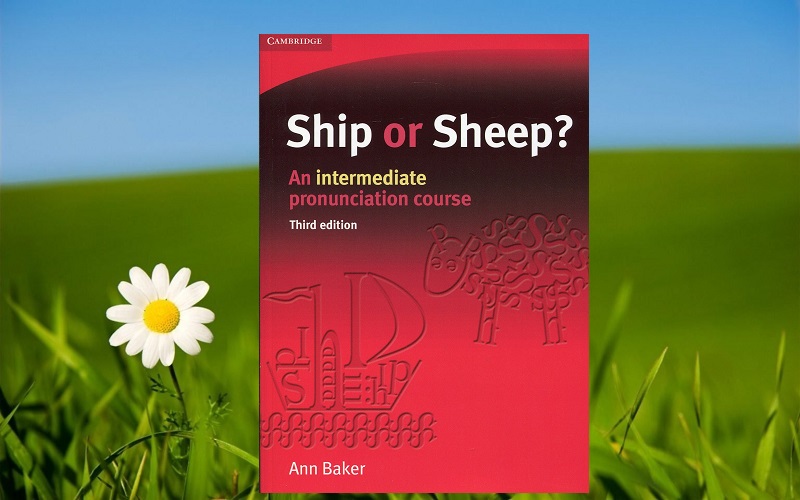 Ship-or-sheep-ms-hoa-giao-tiep